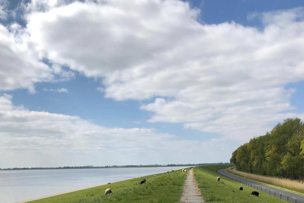Wilhelms Havenkoje - Gemuetliches Innenstadtappartment Вільгельмсгафен Екстер'єр фото